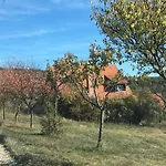 Semesterbostad In Vineyard Dörgicse