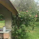In Vineyard Dörgicse
