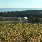 In Vineyard Semesterbostad