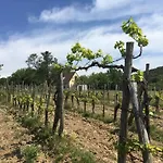 In Vineyard Semesterbostad Dörgicse