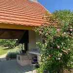 In Vineyard