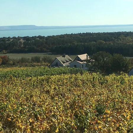 In Vineyard Ferienhaus