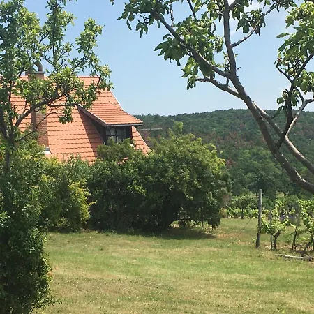 Dörgicsei Ház Casa vacanze Dörgicse