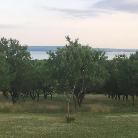 Casa vacanze Dörgicsei Ház *
