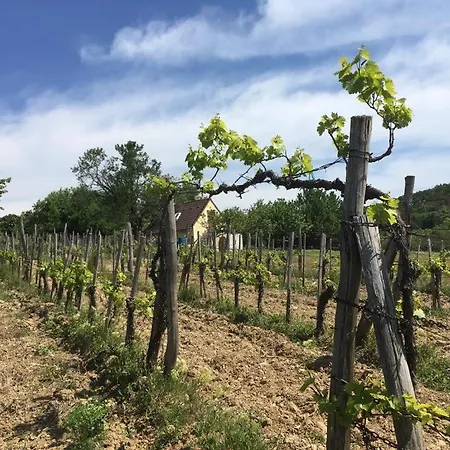 In Vineyard Ferienhaus Dörgicse