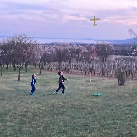 בית נופש In Vineyard