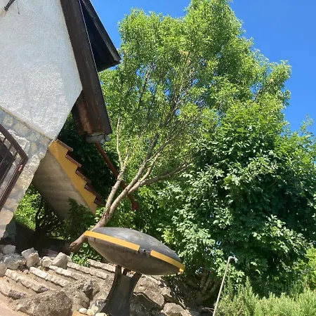 Ferienhaus In Vineyard *