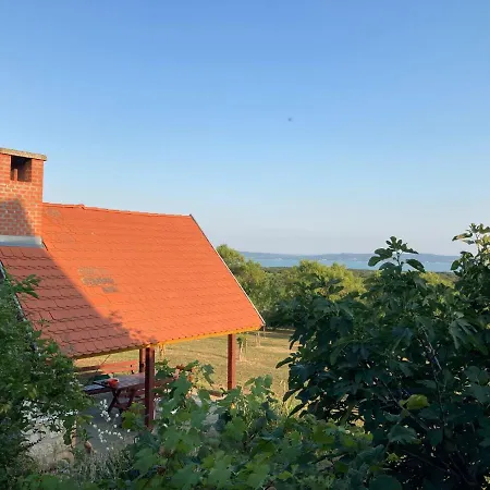 In Vineyard בית נופש