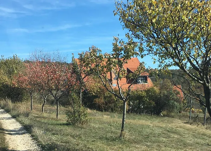 Hébergement de vacances In Vineyard Dörgicse
