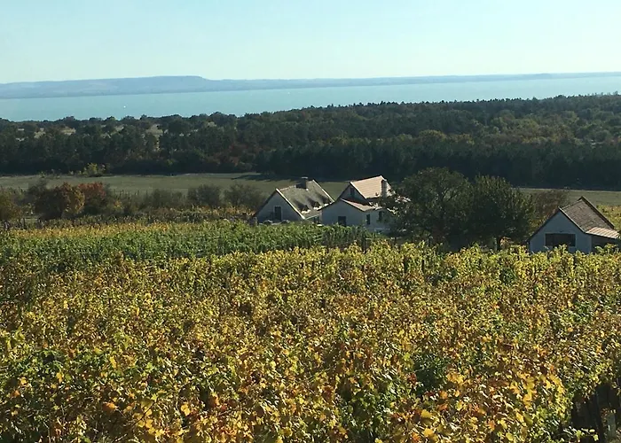 In Vineyard בית נופש