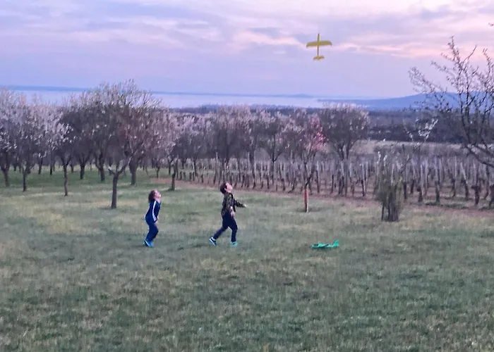 Сasa de vacaciones In Vineyard